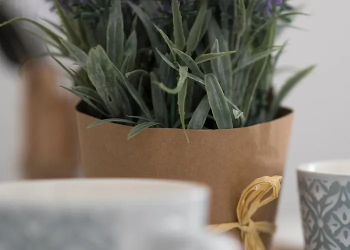 Bed & Breakfast Passage 1 Budapest